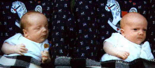 Max und Paul, die Zwillinge von Steffi und Schmaggi am 14.8.1997
