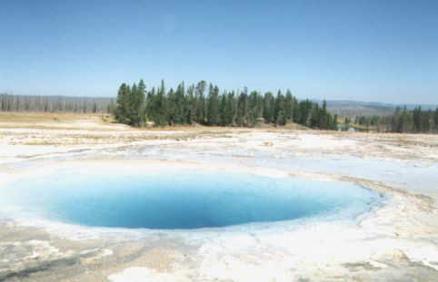 Geysir im Yellowstone N.P.