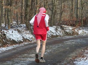 10. Siebengebirgsmarathon 2008