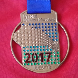 14. DÃ¤mmer Marathon Mannheim 2017