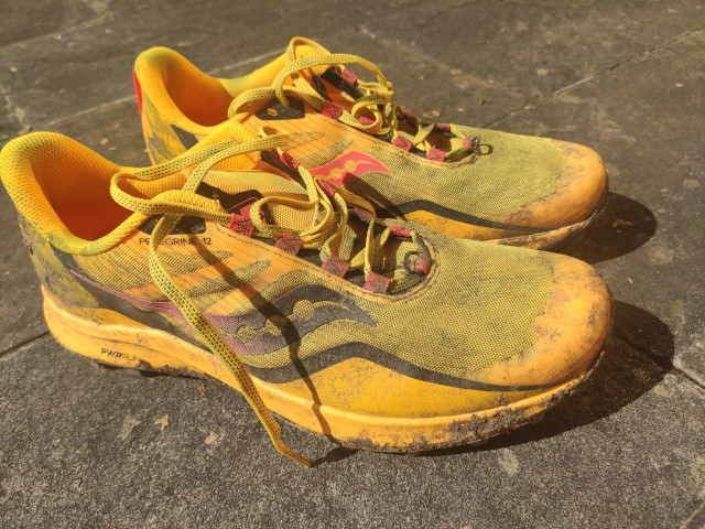 Saucony Peregrine 12