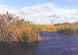 in den Everglades (21 KB)
